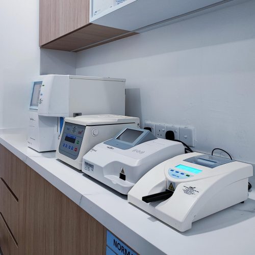 WhatsApp Image 2025-11-03 at 11.52.34